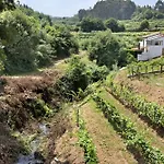 Quinta Da Cevidade Feriehus