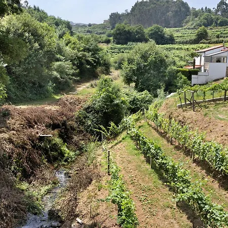 Quinta Da Cevidade 度假居