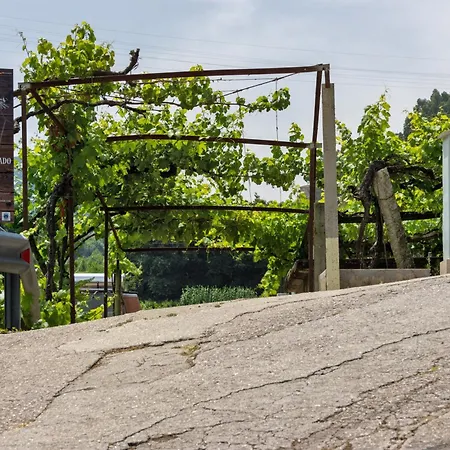 Quinta Da Cevidade *