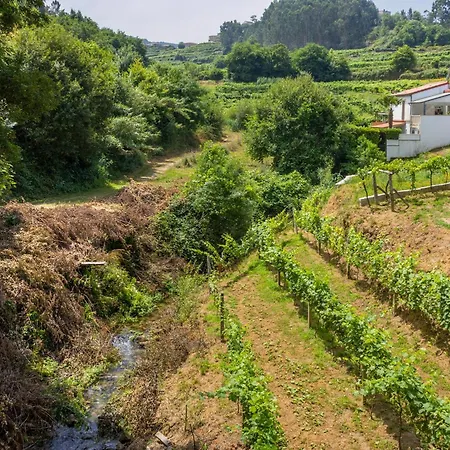 Quinta Da Cevidade Holiday home *