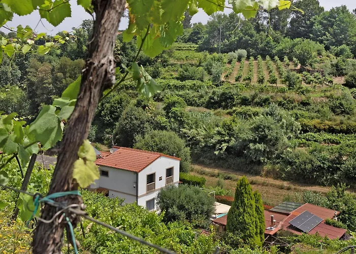 Quinta Da Cevidade 度假居