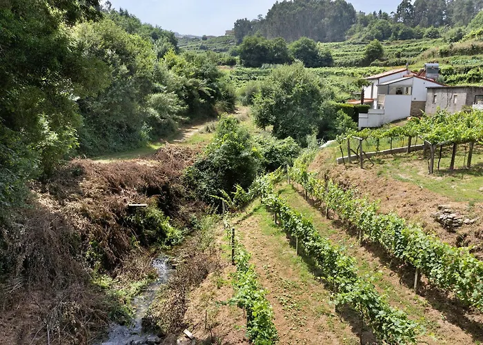 Quinta Da Cevidade 度假居