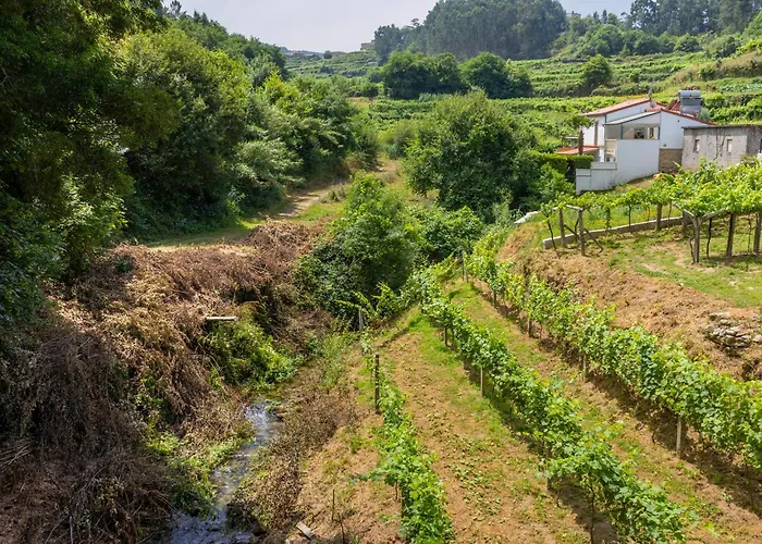 Quinta Da Cevidade 度假居 梅尔加科